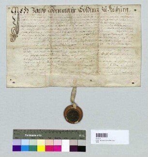 Jakob Lodenmayr, Söldner zu Auburg, und seine Frau Eva verkaufen ihr Erbrecht eines Weinzierlgerichtes an Martin Linsmayr, Wirt zu Auburg. S: Kaspar Dichel, Pflegsverwalter zu Barbing, Auburg und Geisling