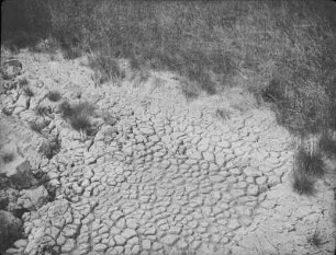 Maguntan Schlammvulkan : Getrocknete Schlammkuhle und angrenzende Vegetation