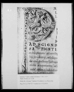 Ms. 225 — Ms. 225, Folio 42rectoBuchseite