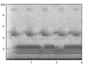 Ziegenmelker | Caprimulgus europaeus - Gesang
