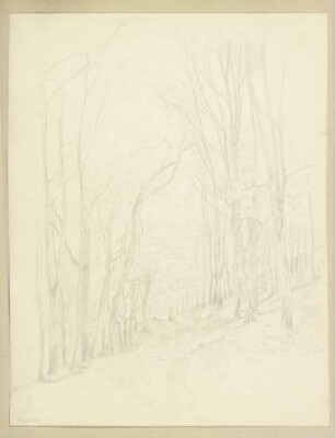 Waldweg
