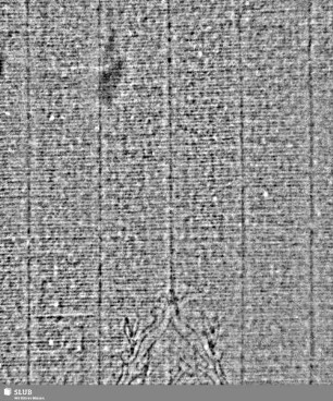 Hammer in Kartusche / FCR = S.7/8