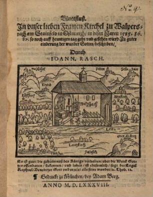 Bluetfluß. In unser lieben Frauen Kirchel zu Welpersnach am Stainfeld in Osterreich ...