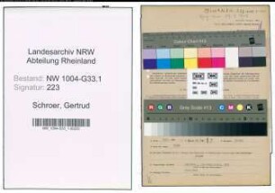 Entnazifizierung Gertrud Schroer , geb. 30.11.1904 (Studienraetin)