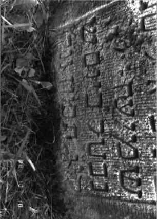 Grabstein 1249 (Index: 100098475) Maße HxBxT: 61x54x9 cm Besonderheit: Kindergrab: Grabstein 1249B (Nachholaufnahme)