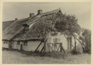 Insel Hiddensee. Vitte. Reet gedecktes Gehöft