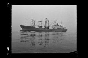 Cottbus (1979), Frachtschiff (reefer), VEB/DSR, Rostock, Bau-Nr. 442