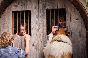 Lassie - Ein neues Abenteuer