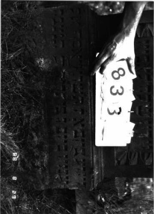 Grabstein 838 (Index: 100099375) Maße HxBxT: 134x64x12 cm Symbolik: Lilie Besonderheit: kulturhistorisch wertvoll / hist.-wiss. Gründe (Person): Grabstein 838B