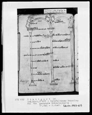 Necrologium Zwiefaltense — Vogel, Hase und Wildkatze, Folio 16verso