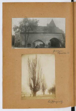Salzwedeler Tor, Gardelegen / Baum, Hohenzieritz: Ansichten (aus: Skizzen- und Fotoalbum 29)