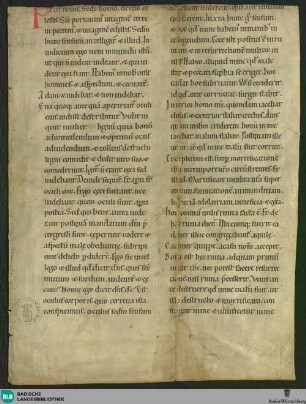 Homiliae in Lucam, Fragment - Cod. Karlsruhe 1445