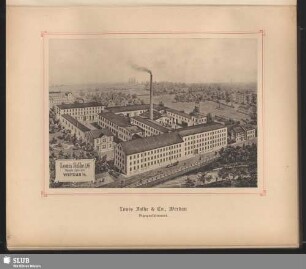 Louis Falke & Co. Vigogne-Spinnerei Werdau i/S.
