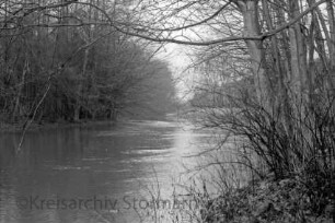 Trave: rechts und links am Ufer Büsche und Bäume