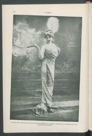 [Vestido seda] [Fotografía]