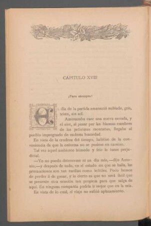 Capítulo XVIII - ¡Para siempre!