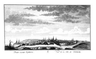 Vid goroda Turinska = Vue de la Ville de Tourinsk