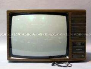 Farbfernseher Telefunken "PALcolor V 8210", mit Fernbedienung und Gebrauchsanweisung