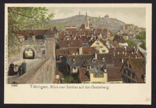 31, Tübingen, Blick vom Schloß auf den Oesterberg.
