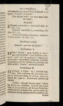 365-377, Meditatio III