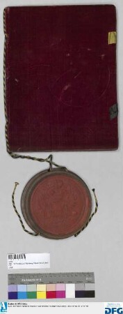 Kaiser Franz I. bestätigt der Stadt Nürnberg den Exspektanzbrief Kaiser Joseph I. vom 29. Dezember 1708 bzw. Kaiser Karl VI. vom 13. Februar 1733 auf die Gräflich von Zeil'schen Reichslehen um Nürnberg. - Siegler: der Aussteller.