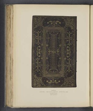 Plate LV.