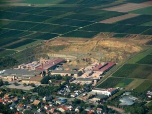 Wöllstein