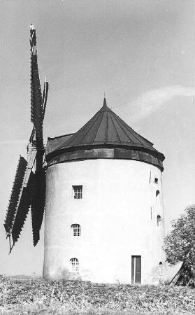 Hochkirch-Rodewitz. Erdholländer