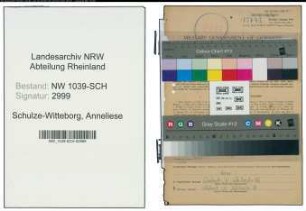 Entnazifizierung Anneliese Schulze-Witteborg , geb. 29.07.1917 (Sachbearbeiterin)