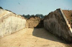 Fotografie: Lagertechnik, Flachsilo, Fahrsilo, Silomais