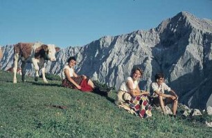 Wanderer auf einer Alm mit Kühen