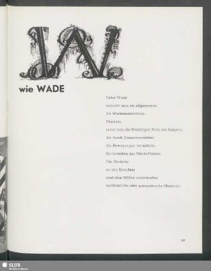 W wie Wade