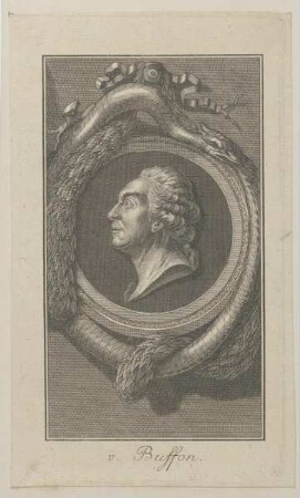 Bildnis des Georges Louis Le Clerc de Buffon