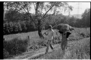 Transport des Grases