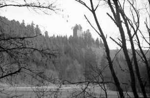 Steinatal: Ruine Steinegg im Steinatal