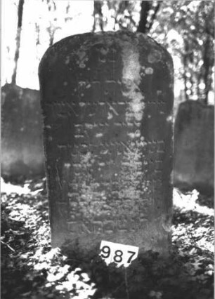Grabstein 987 (Index: 99899541) Material: Sandstein Zustand: angewittert Maße HxBxT: 102x52x10 cm Beschreibung: Stele mit abgeflachtem Rundbogenabschluss, im Bogenfeld Blumenranken Symbolik: Blumenranken: Grabstein 987
