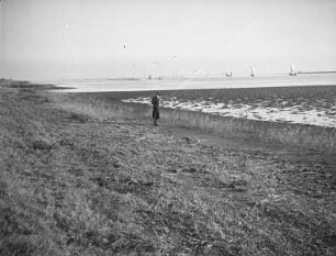 Bucht von Tokio : Bucht von Tokio mit Segelschiffen. Ansicht mit Martin Schwind, am Ufer stehend