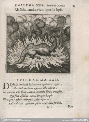 Discursus XXIX. Ut Salamandra vivit igne sic lapis.