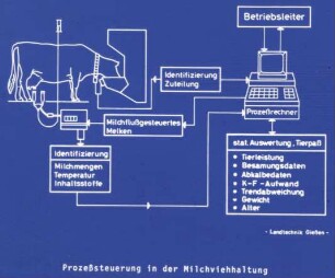 Prozesssteuerung in der Milchviehhaltung