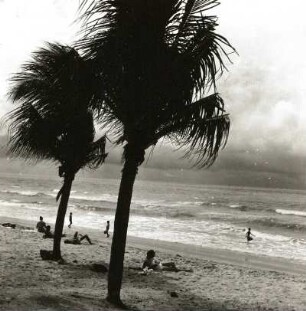 Atlantikküste, Brasilien. Palmenstrand Boa Viagem bei Santos