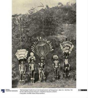 "Merkwürdiger Kopfschmuck der Eingeborenen auf Neuguinea"