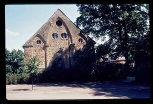 Buch Schlosspark 27.7.76.