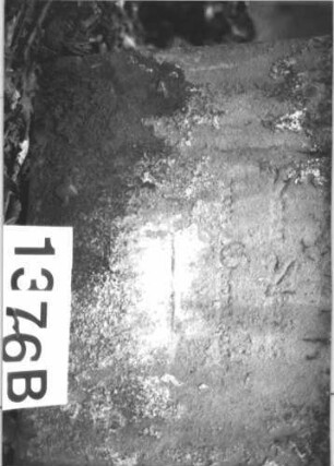Grabstein 1376 (Index: 99900313) Material: Sandstein Zustand: an den Rändern stark verwittert Maße HxBxT: 175x60x22 cm Beschreibung: aufgesockelte Stele mit eingezogenem Rundbogenabschluss, Einzüge und Bogen mit Akanthusakroterien, Voluten und Ranken, im Bogenfeld Kranz (Efeu?) Symbolik: Kranz, Akanthus, Voluten, Ranken: Grabstein 1376B
