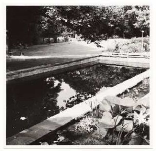 Garten Dr. Bahr: Blick über Wasserbecken