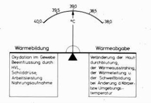 Wärmebildung und Wärmeabgabe