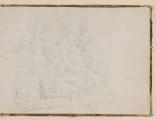 Baumgruppe in einem Park [aus einem Skizzenbuch der Rosette Städel, Blatt 1]