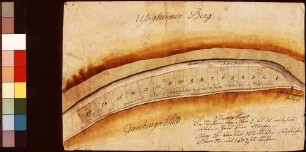 Abtei Bronnbachische obere Brühlwiese (Inselkarte)