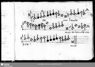 Ludwig Senfl: Te Deum
