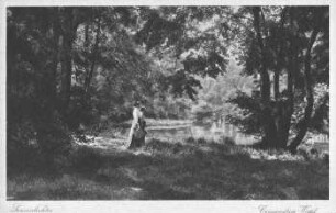 Connewitzer Wald: Sonnenlichter
