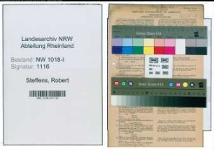 Entnazifizierung Robert Steffens , geb. 17.11.1897 (Kaufmann)